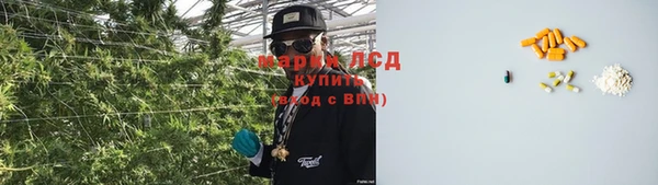 PSILOCYBIN Баксан