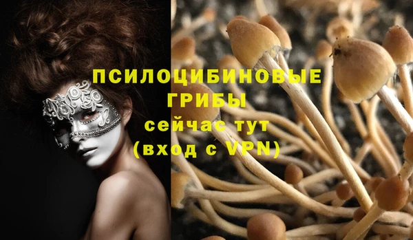 спайс Балабаново